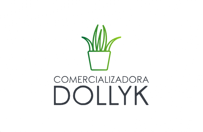 Comercializadora Dollyk S.A De C.V